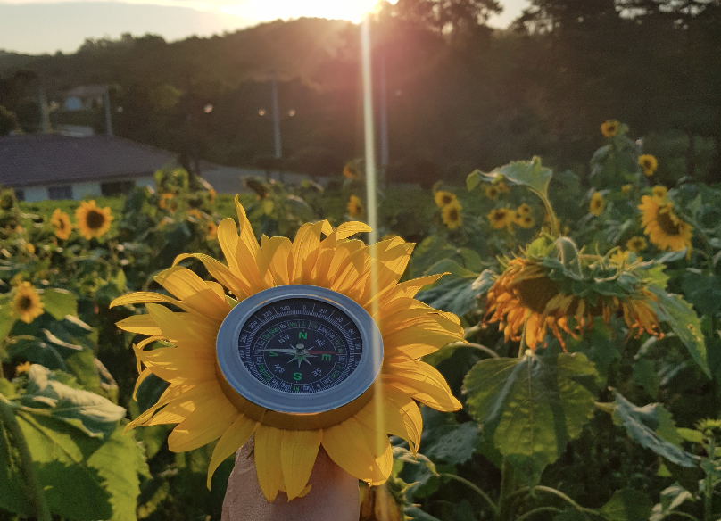 Screen Shot 2022-02-10 at 09.40.39.png