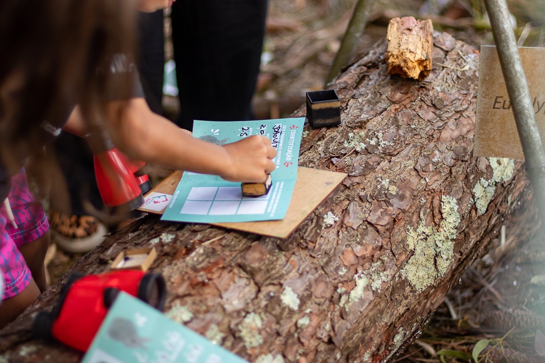 WhatsApp Image 2023-06-07 at 14.40.55.jpeg