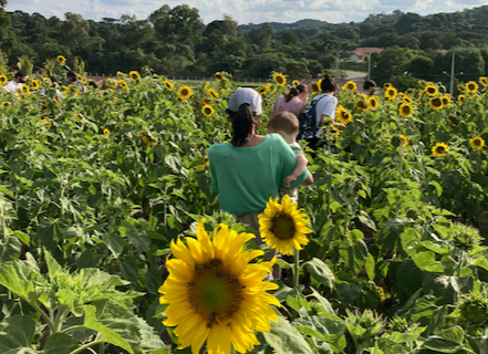 Screen Shot 2022-05-02 at 11.12.57.png