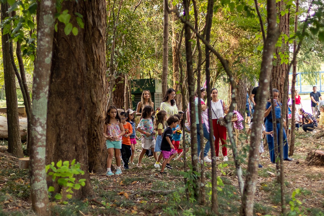 WhatsApp Image 2023-06-07 at 14.41.28.jpeg